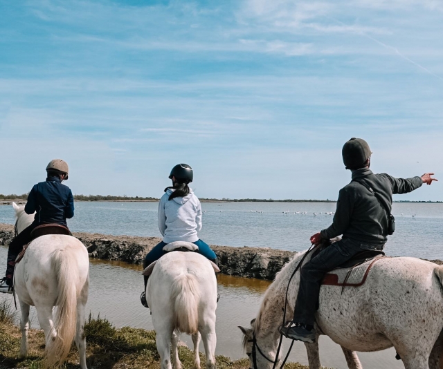 Passeio a cavalo Camargue - Etang de Vaccarès - 2h