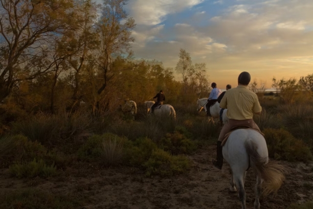  Luz magnífica para este passeio a cavalo 
