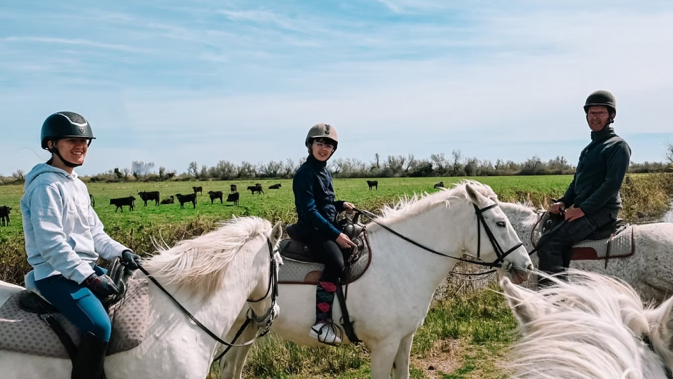 Conheça os touros de Camargue 