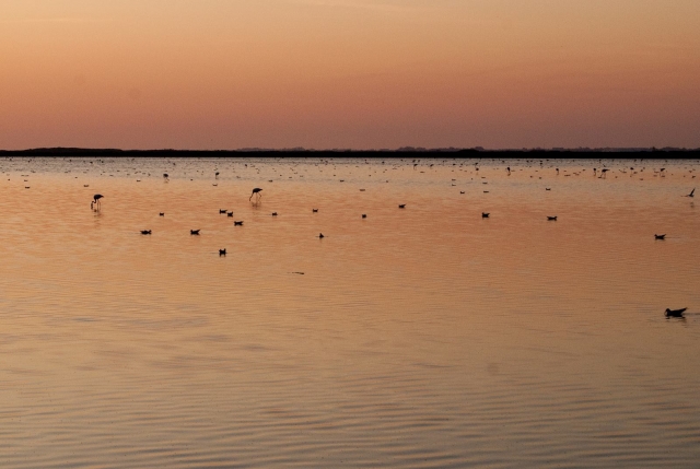 A lagoa Vaccarès 