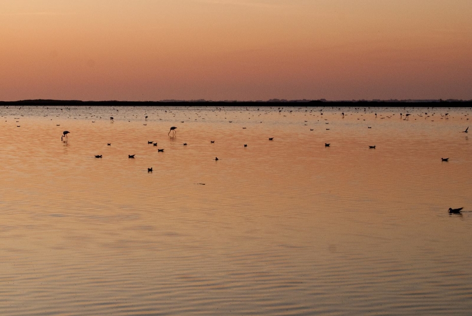 A lagoa Vaccarès 
