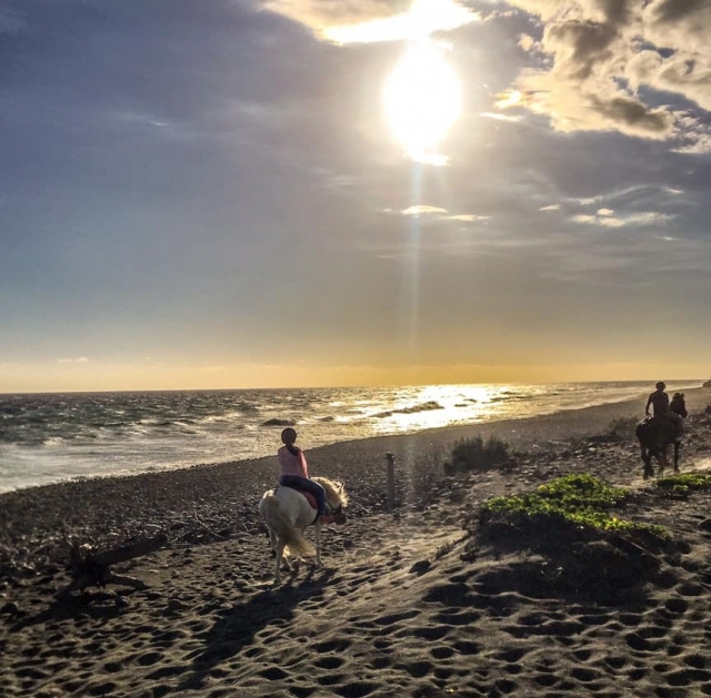 Horseback riding on the beach in Reunion 