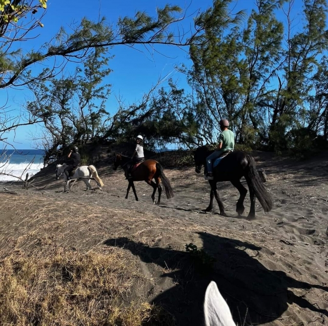 Take the trails towards the beach 