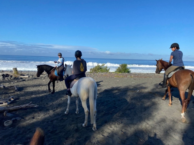  Horseback ride mainly at the beach 