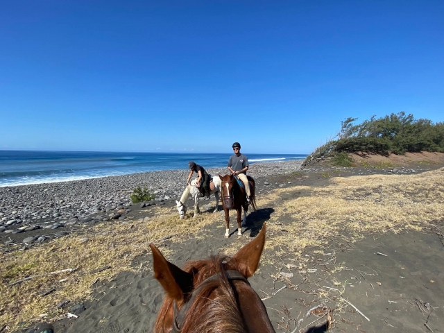 Horseback riding at the Beach-Étang Salé-Réunion- 3h