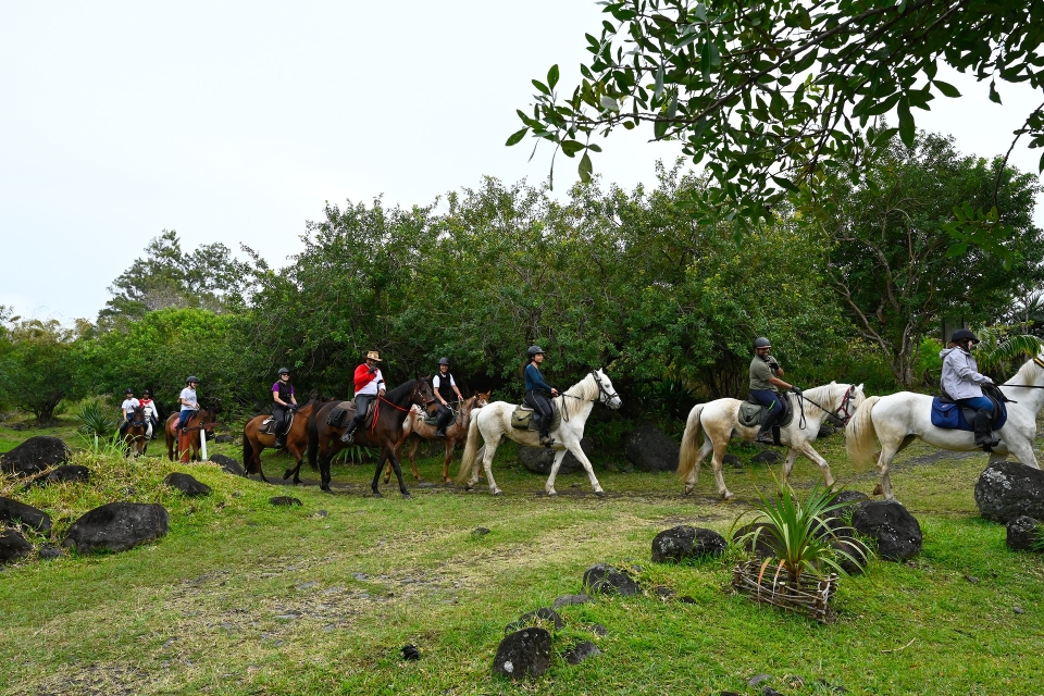 Buchen Sie einen Ausritt in Reunion 