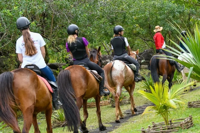 Balade à cheval à Saint-André - La Réunion - 2h