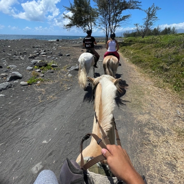 Optare per un passaggio al meeting 