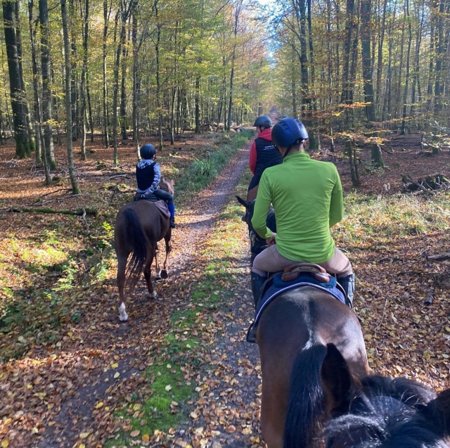 488507138_1124738829665436_2544751970914833382_n 