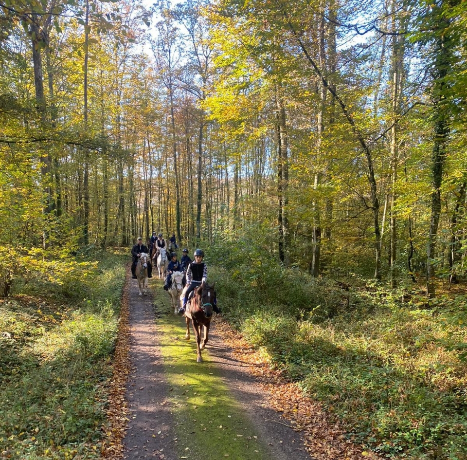  488904656_1124738952998757_2992461790118363920_n 