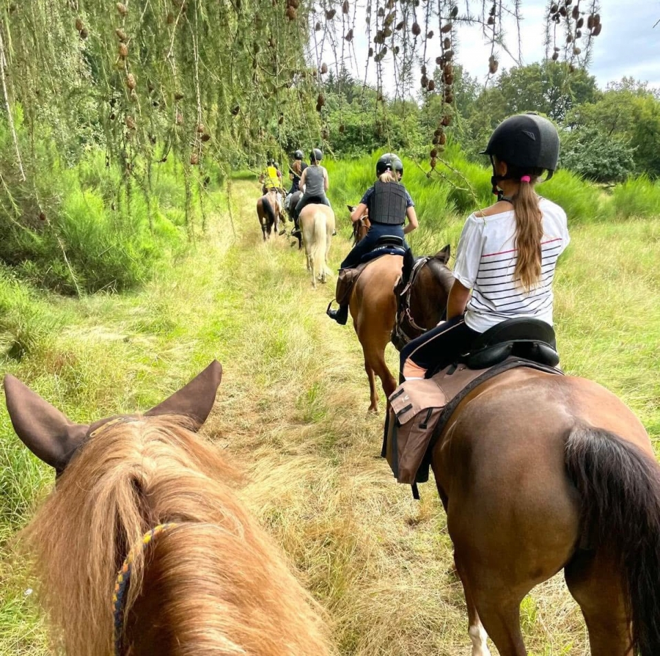  Paseos a caballo en Alsacia 