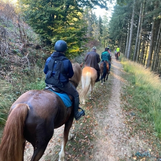 Paseos a caballo a las puertas de los Vosgos del Norte - 2h