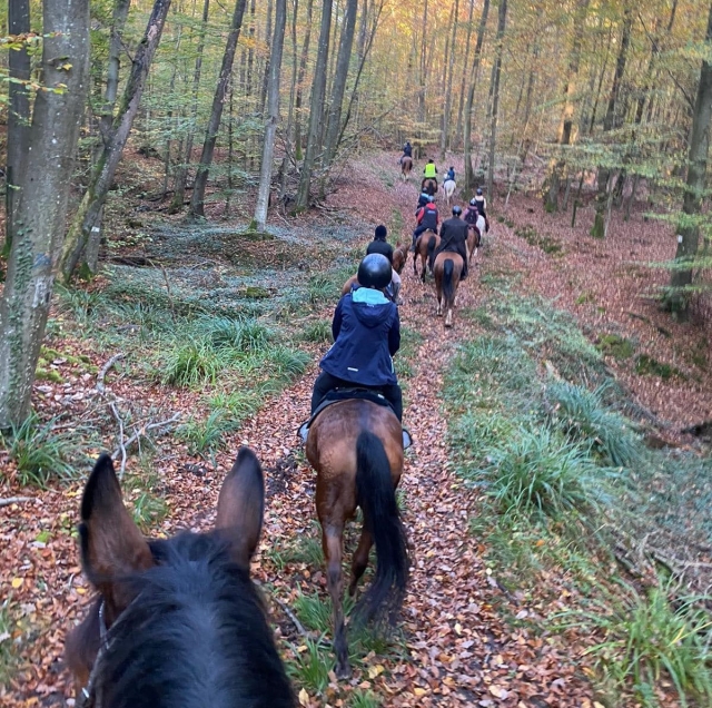 488576663_1124738882998764_1474742254686794851_n 