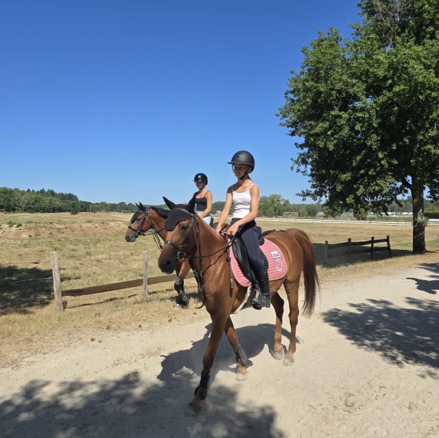  Días soleados en el establo 