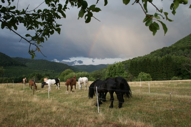 Des paysages à couper le souffle