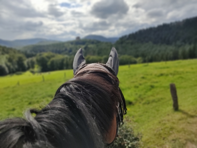 Découverte du château du Fleckenstein