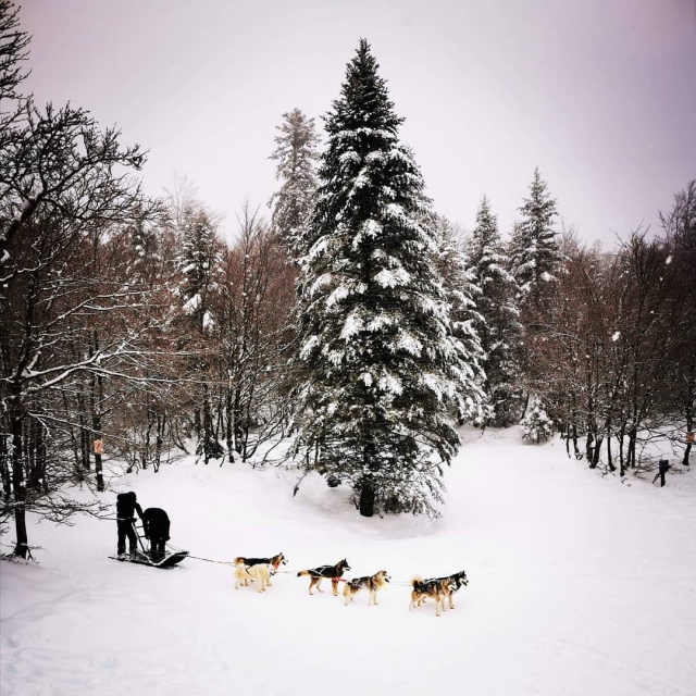  Vive una aventura en la nieve de Arette 