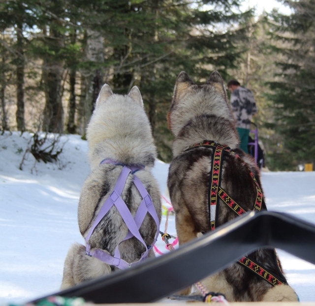  ¡Listo para la excursión!