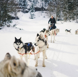 Mushing batismo em La Pierre-Saint-Martin - 30 min