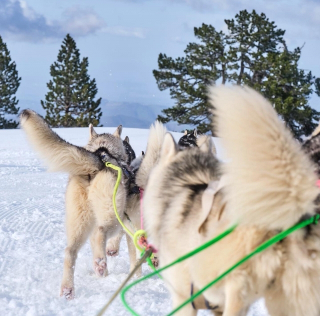 Vive un momento mágico y natural en los Pirineos 