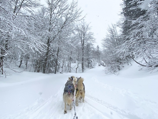  Desafía los senderos nevados de los Pirineos 