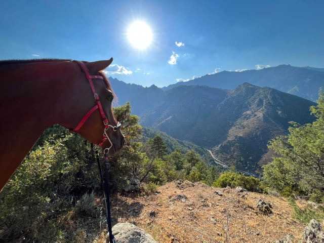 Reiten in den Bergen in Corte - Korsika - 2 Stunden