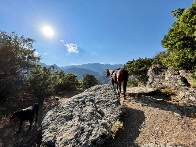  Genießen Sie eine einzigartige Aussicht von den Bergen 