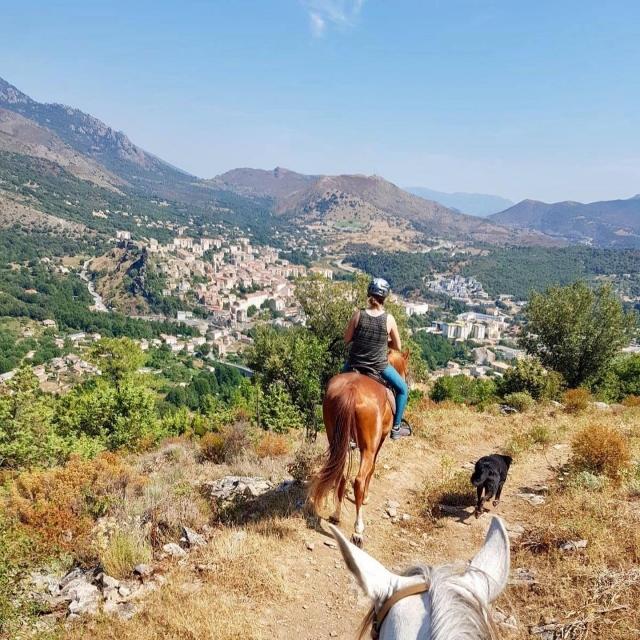  Besuchen Sie Corte zu Pferd 