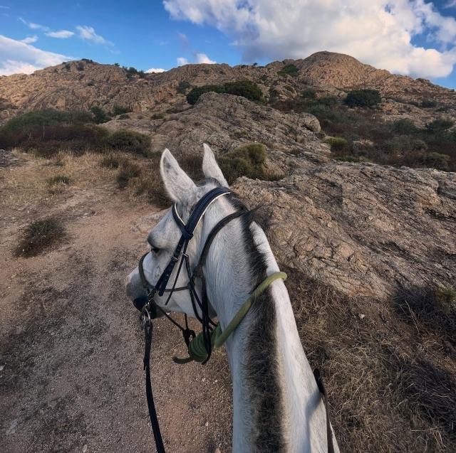  Reiten im Zentrum Korsikas
