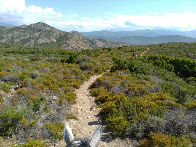 Reiten für Anfänger in Corte – Korsika – 1 Stunde