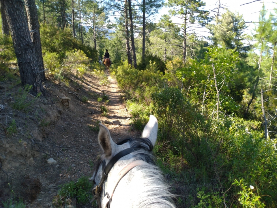  Reiten in der Nähe von Corte 