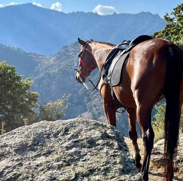 Eine herrliche Aussicht auf die korsischen Berge 