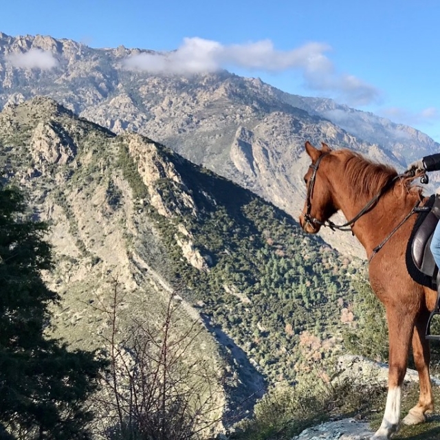Reiten in den Bergen in Corte - Korsika - 3 Stunden