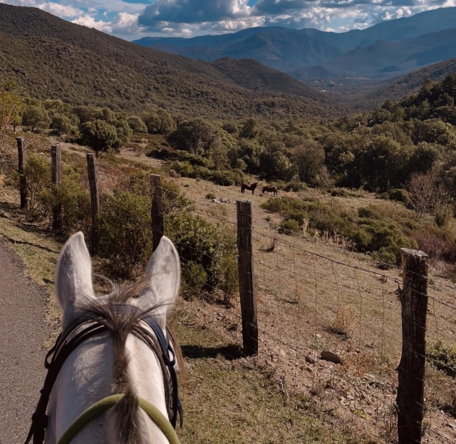 Ein Ausritt in der Nähe von Corte