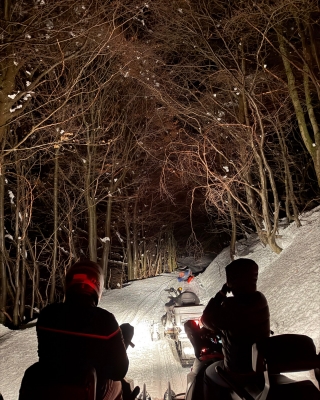 Tour notturno in motoslitta 1h30 vicino a Monaco