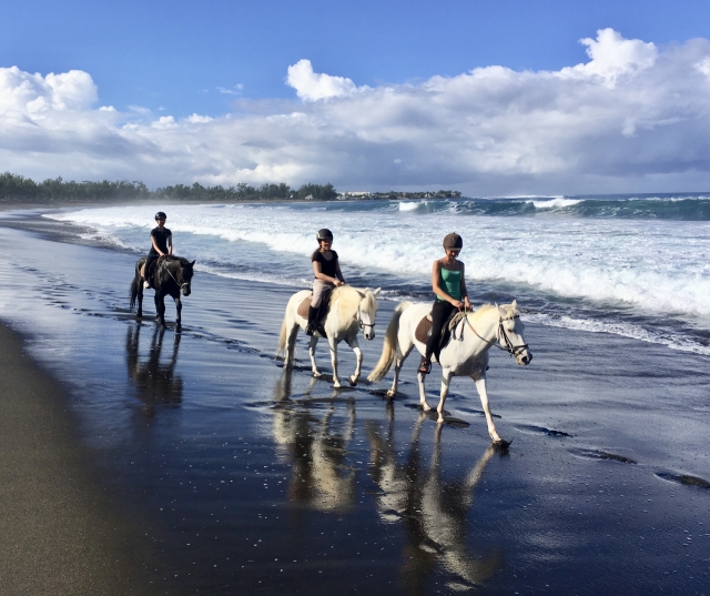  Passeggiata a cavallo sulla spiaggia 