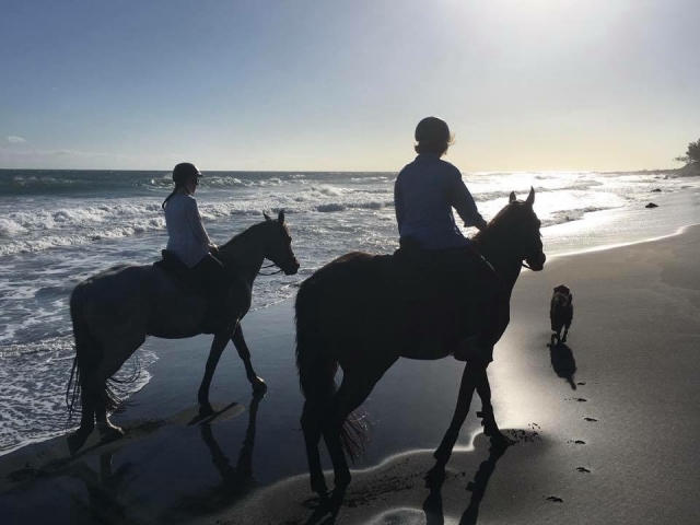  Fare una passeggiata a cavallo lungo la costa con il mio cane 