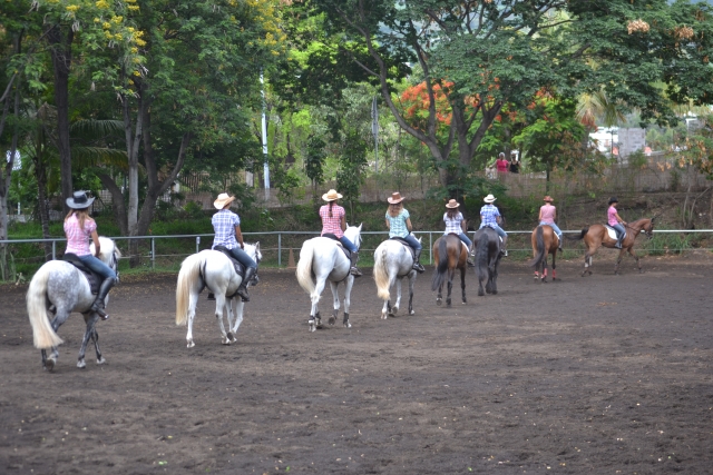  Prepararsi per la partenza per il centro ippico
