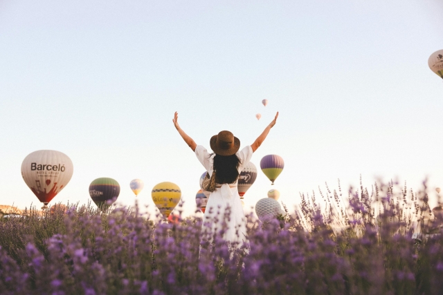 Des montgolfières parmi les champs