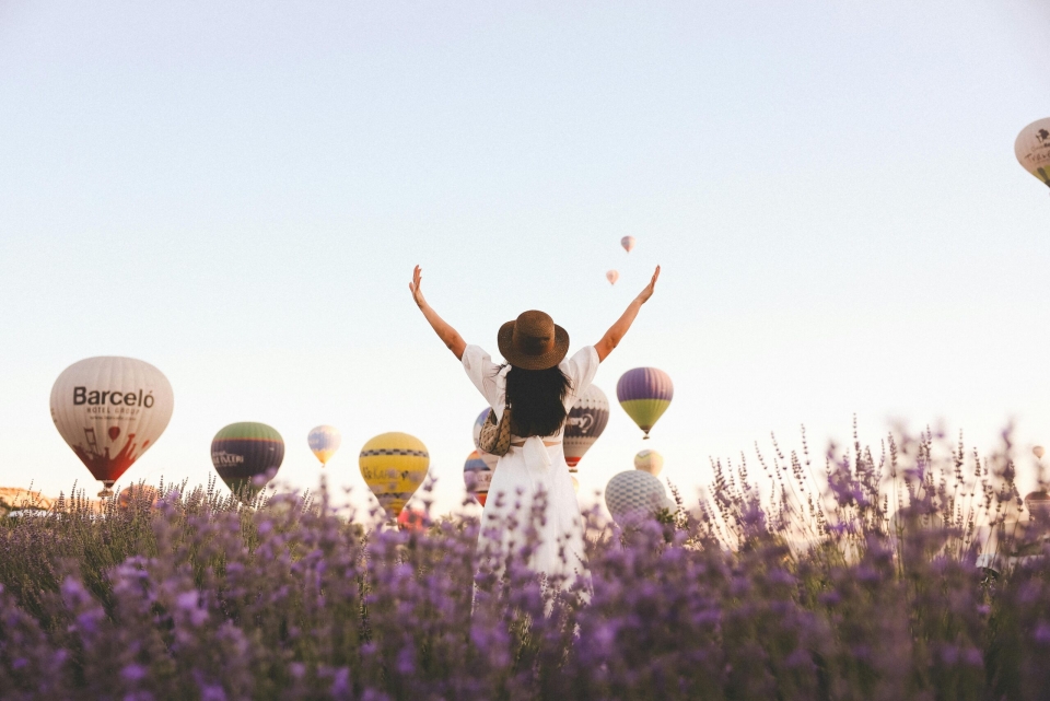 Des montgolfières parmi les champs
