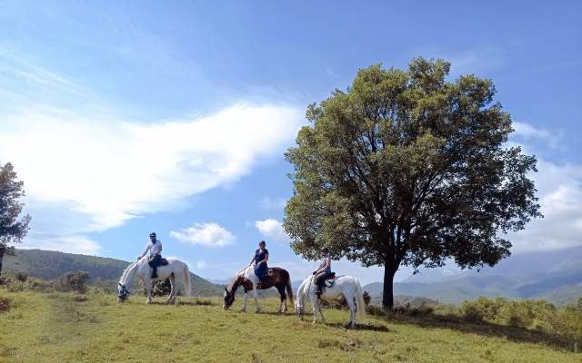 Descubra as paisagens da Córsega a cavalo 