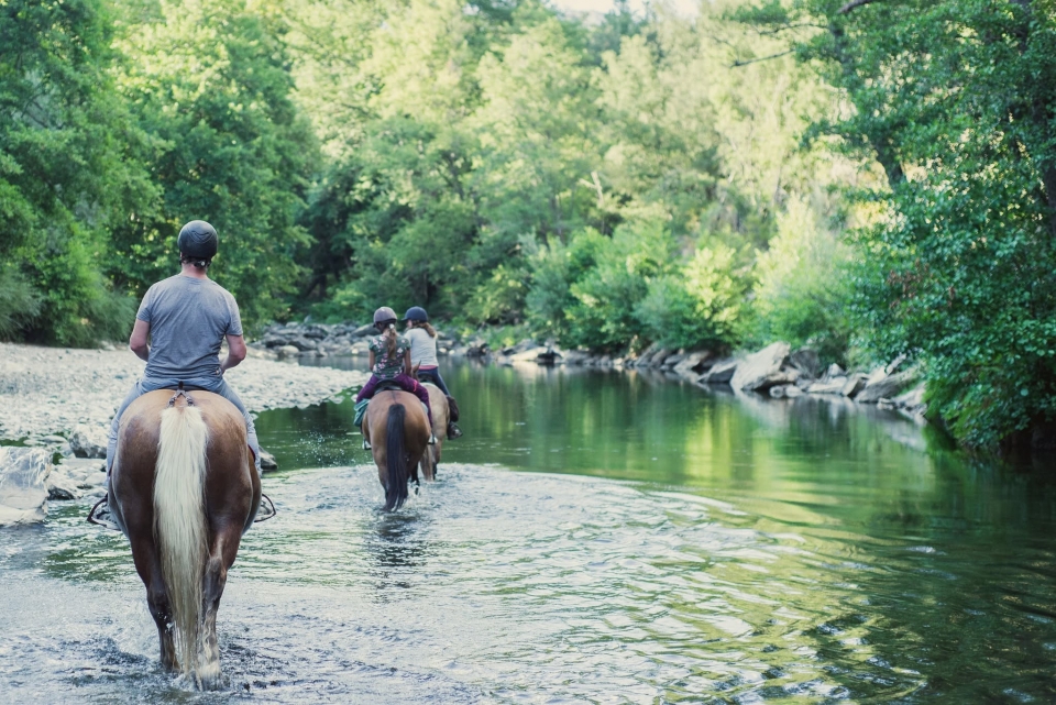  Experiência equestre em Corte 