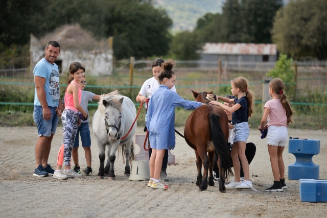 Profitez d'une balade à poney