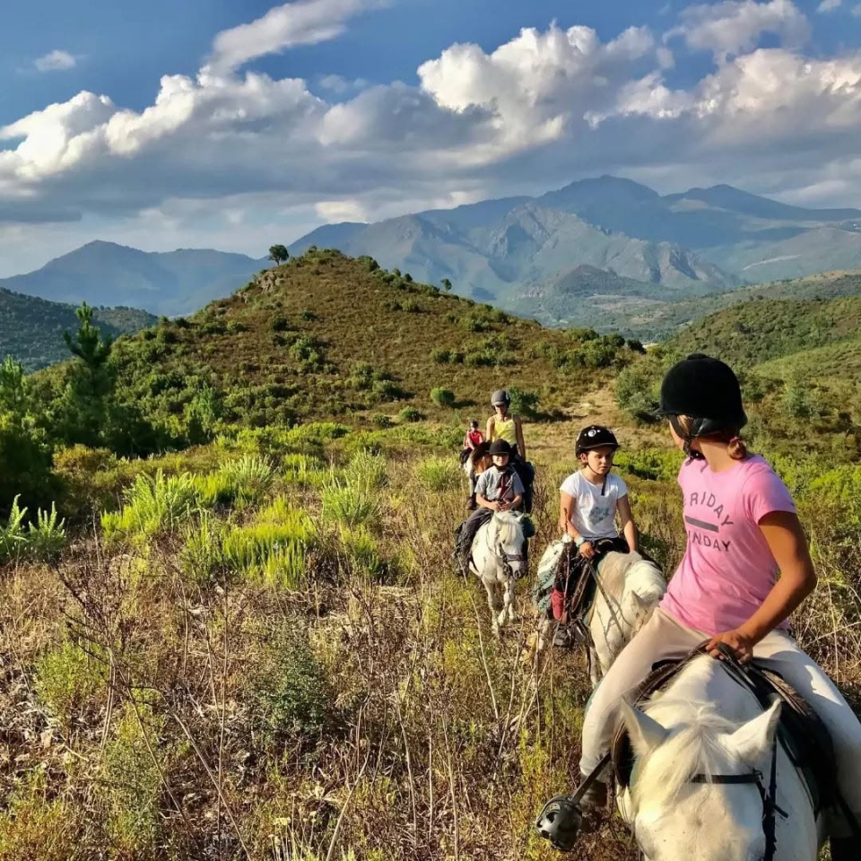 Balade à poney pour les enfants 
