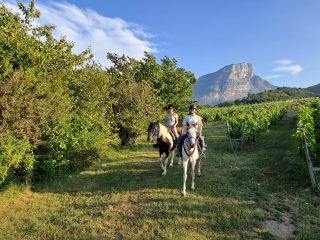 Ruta a caballo por el valle de Grèsivaudan 1h30
