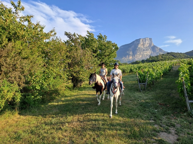 Ruta a caballo por el valle de Grèsivaudan 1h30
