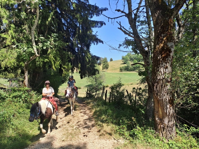  Disfrute de un paseo a caballo en medio de los viñedos 