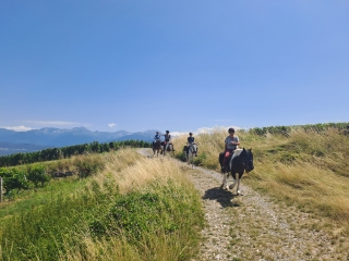Paseo a caballo en las estribaciones de Chartreuse 2h30