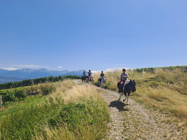 Paseo a caballo en las estribaciones de Chartreuse 2h30