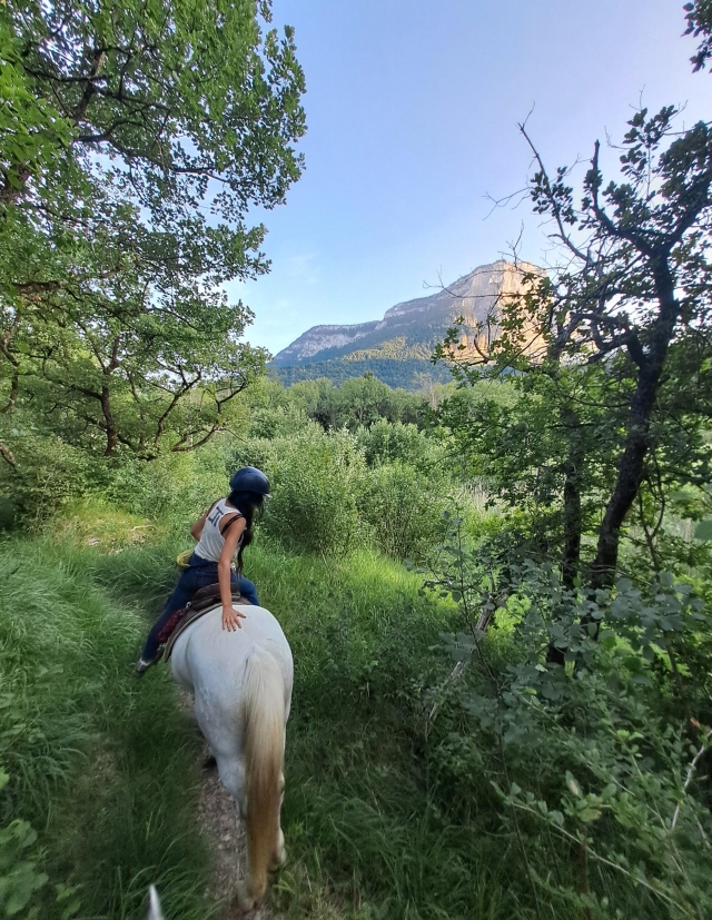  Disfrute de un paseo a caballo para dos 